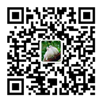 除塵設(shè)備_脫硝脫硫設(shè)備_污水處理_煙氣粉塵治理_唐山鉑銳環(huán)?？萍加邢薰?/></div>
      <!--二維碼結(jié)束-->
      <div   id=